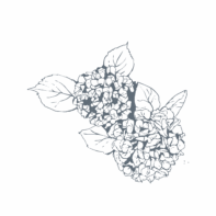 Judy White – Doula, LLC